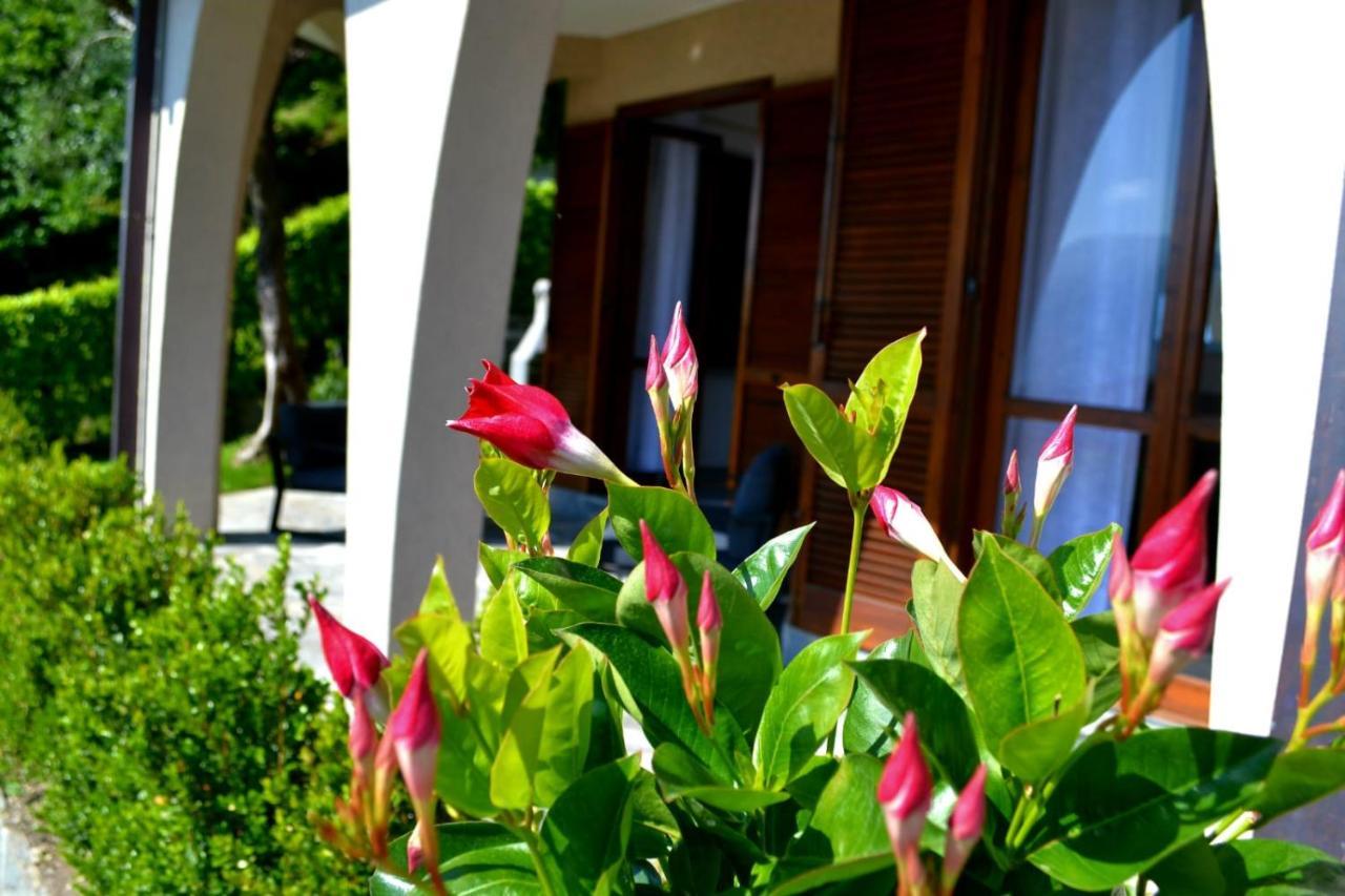 Le Grigne Guesthouse - The Garden Oliveto Lario Exterior photo